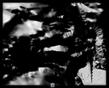 Graphic fragment number 57.